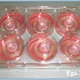 Image for article titled Can technology help us put an end to animal experimentation?